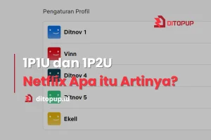 1P1U 1P2U Netflix Apa itu Artinya Pengertian dan Bedanya