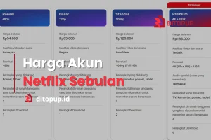 Harga Netflix Sebulan dan Cara Berlangganan di Indonesia