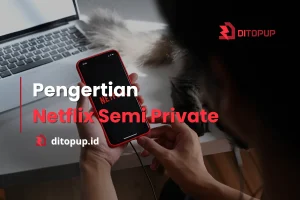 Netflix Semi Private adalah Pengertian dan Bedanya dengan Akun Lain