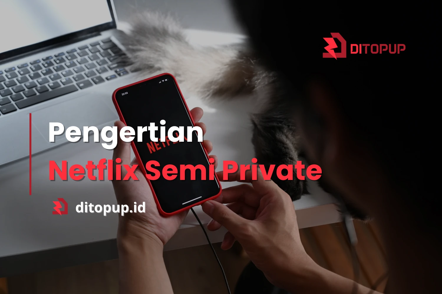 Netflix Semi Private adalah: Pengertian dan Bedanya dengan Akun Lain