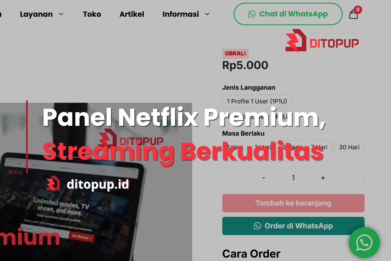 Panel Netflix Premium, Streaming Film Berkualitas Tinggi dengan Harga Murah
