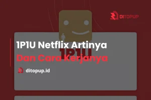 1P1U Netflix Artinya, Cara Kerja, dan Keuntungannya