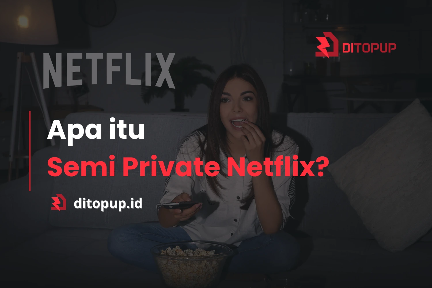 Apa itu Semi Private Netflix Penjelasan Lengkap dan Manfaatnya