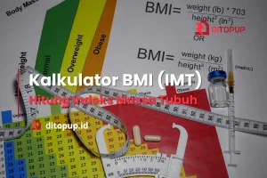 Kalkulator BMI (IMT) Hitung Indeks Massa Tubuh Anda